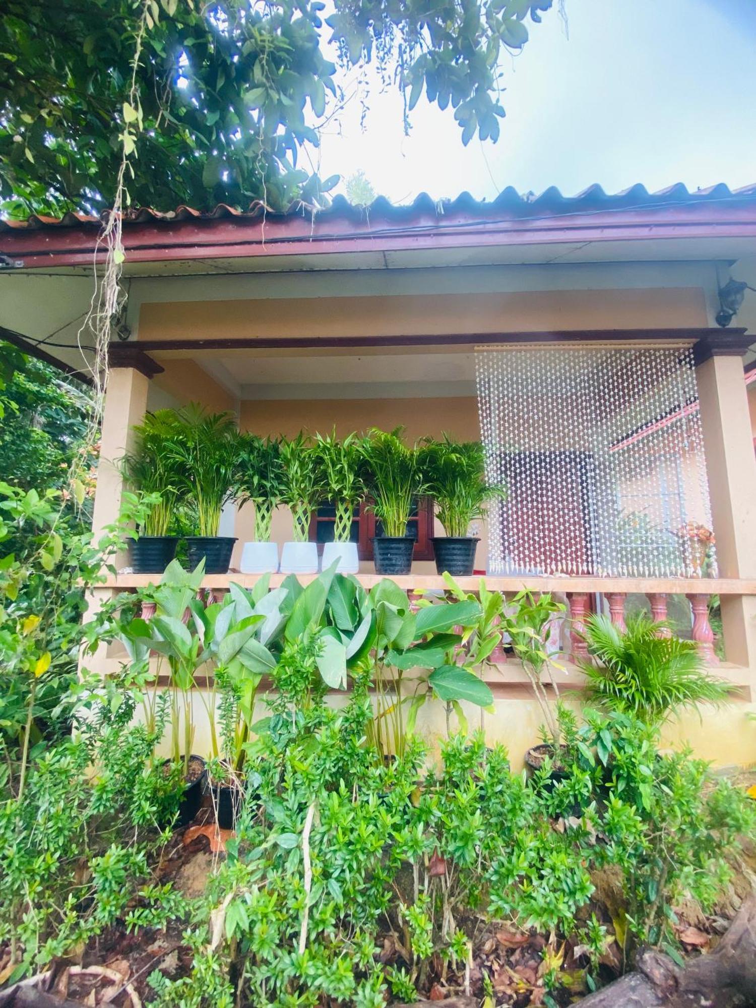 Rose Bungalow At Ya Nui Beach Villa Nai Harn Dış mekan fotoğraf